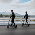 Segway-Ninebot eKickscooter Max G3 E