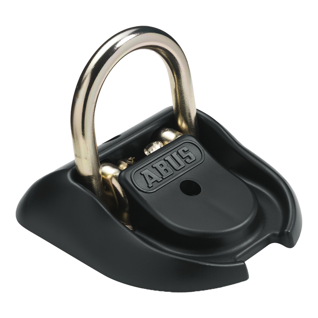 Abus WBA100 Granit Wall Anchor/Ground Anchor